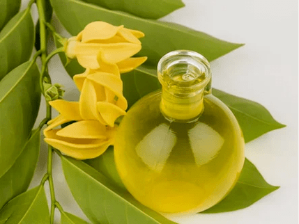 Aromatherapie zur Verbesserung der Wirksamkeit